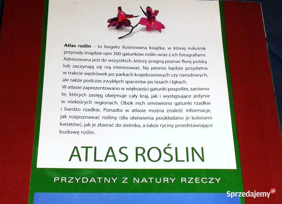 Atlas roślin Pascal Renata KrzyściakKosińska M Chełm sprzedam