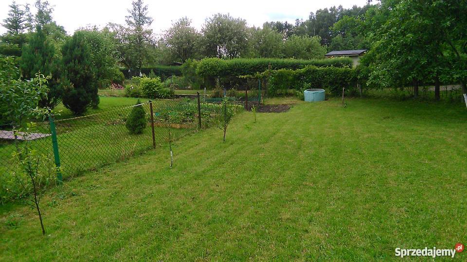 działka ogrodnicza Olsztyn Olsztyn sprzedam