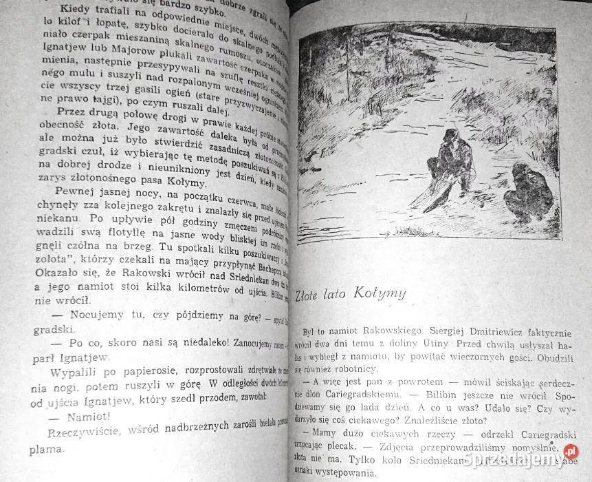 Złota rzeka Jewgienij Ustijew Chełm