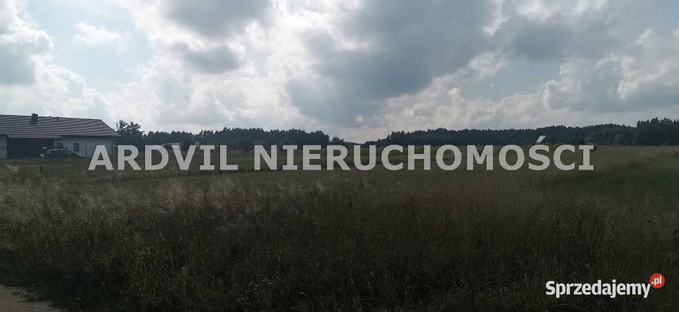 Grunt Ciasne Wczasowa 8000m2 169zł/m2 sprzedam