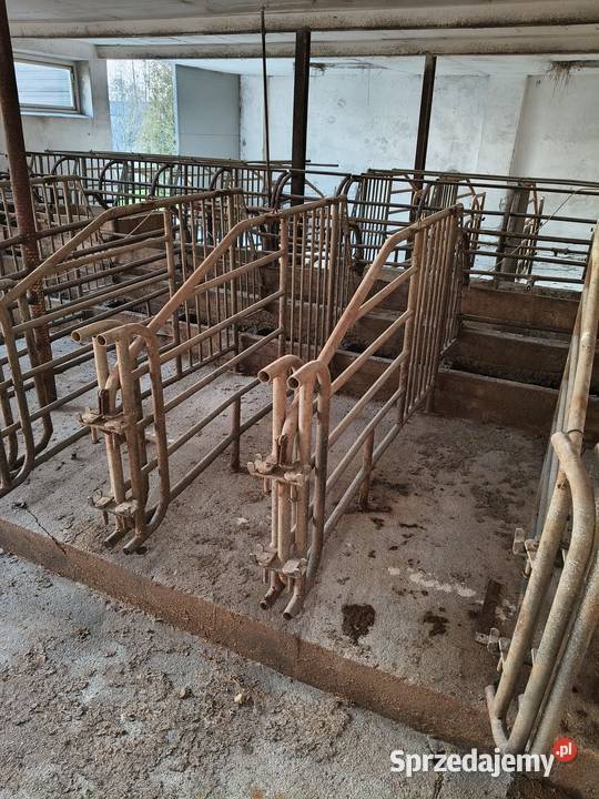 Wygrodzenia macior Radzyń Podlaski