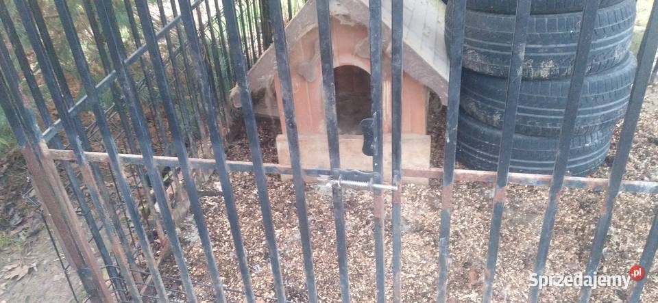 Kojec psa i buda Brzesko