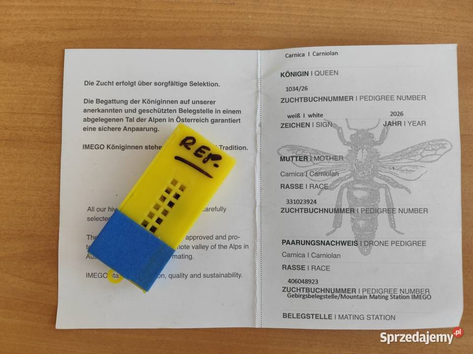 51 KRAINKA matki pszczele TROISECK Pasieka pomorskie Wolinia