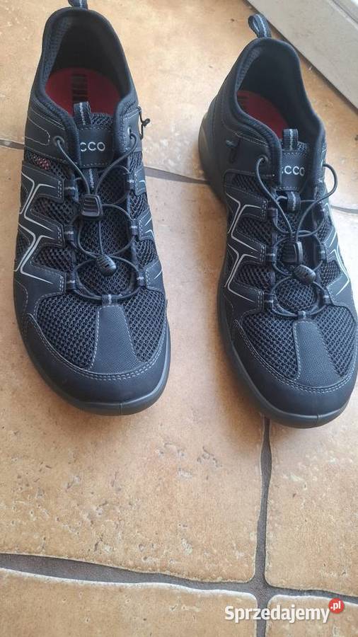Buty trekkingowe ECCO Terracruise 45 Trekkingowe Kłodzko