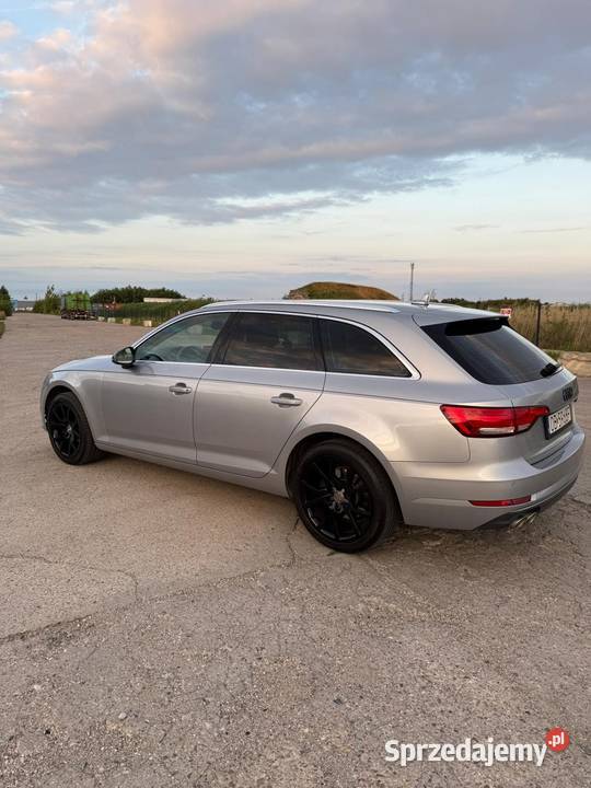 Audi A4 B9 Brzeg