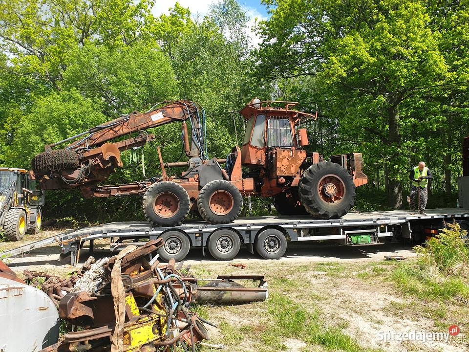 KUCKUMS 8865 Bydgoszcz sprzedam