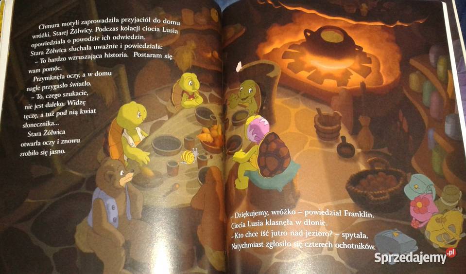 Franklin i skarb jeziora K Żywczak A Major lubelskie Chełm sprzedam