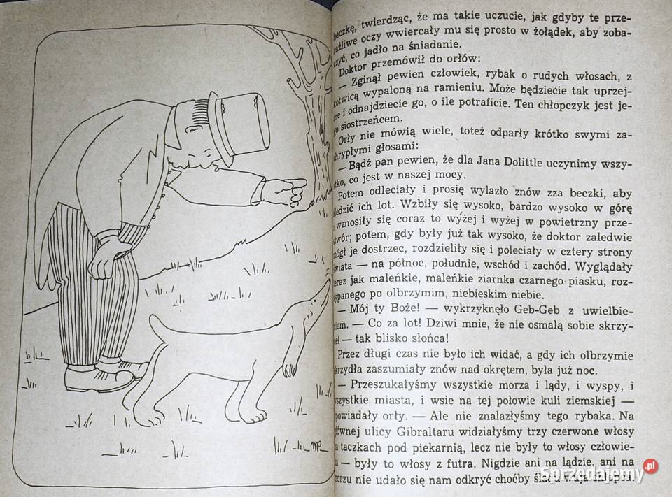 Doktor Dolittle i jego zwierzęta Hugh Lofting Chełm