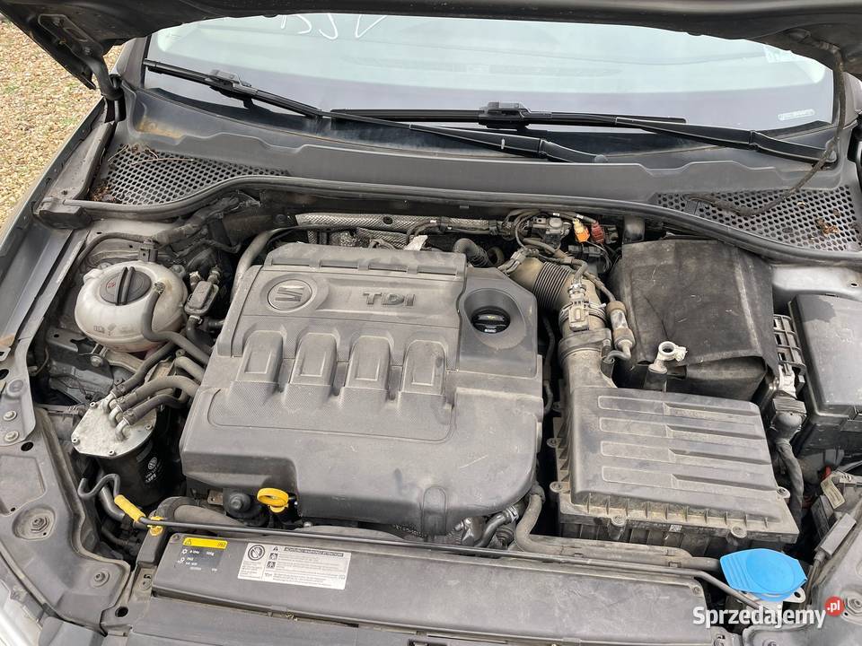 SEAT Lon III 16 TDi 105 ITech DL867 Opole