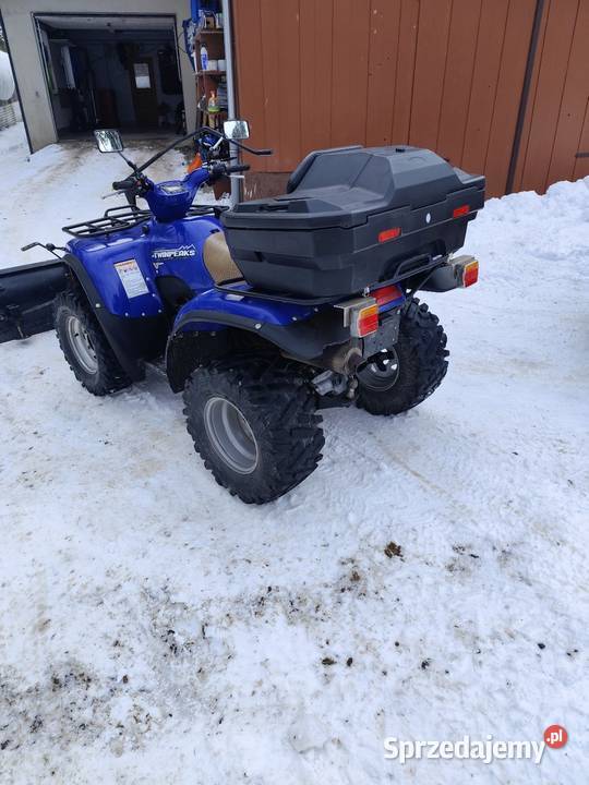 Quad suzuki