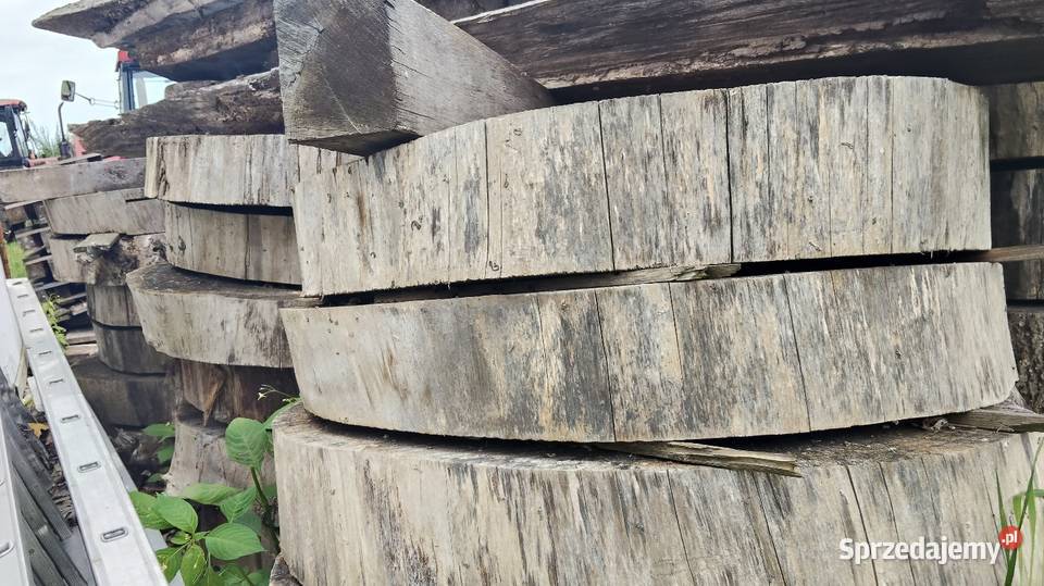 Krążki drewniane plastry Różne gatunki drewna Kwidzyn