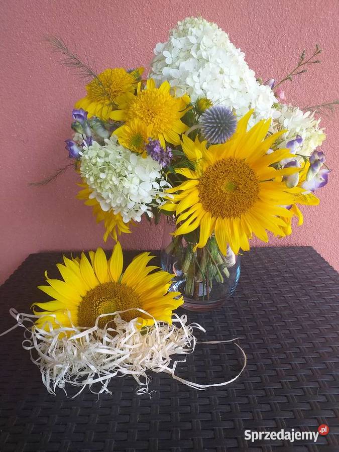 Słonecznik sprzedam
