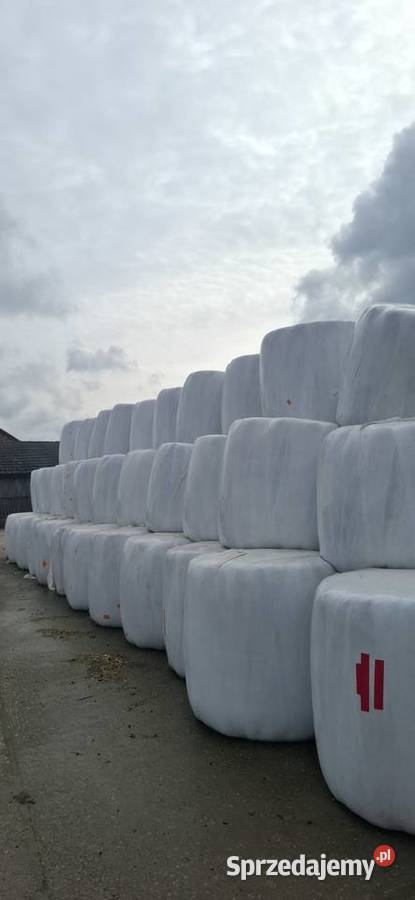 Sianokoszonka podkarpackie Cholewiana Góra