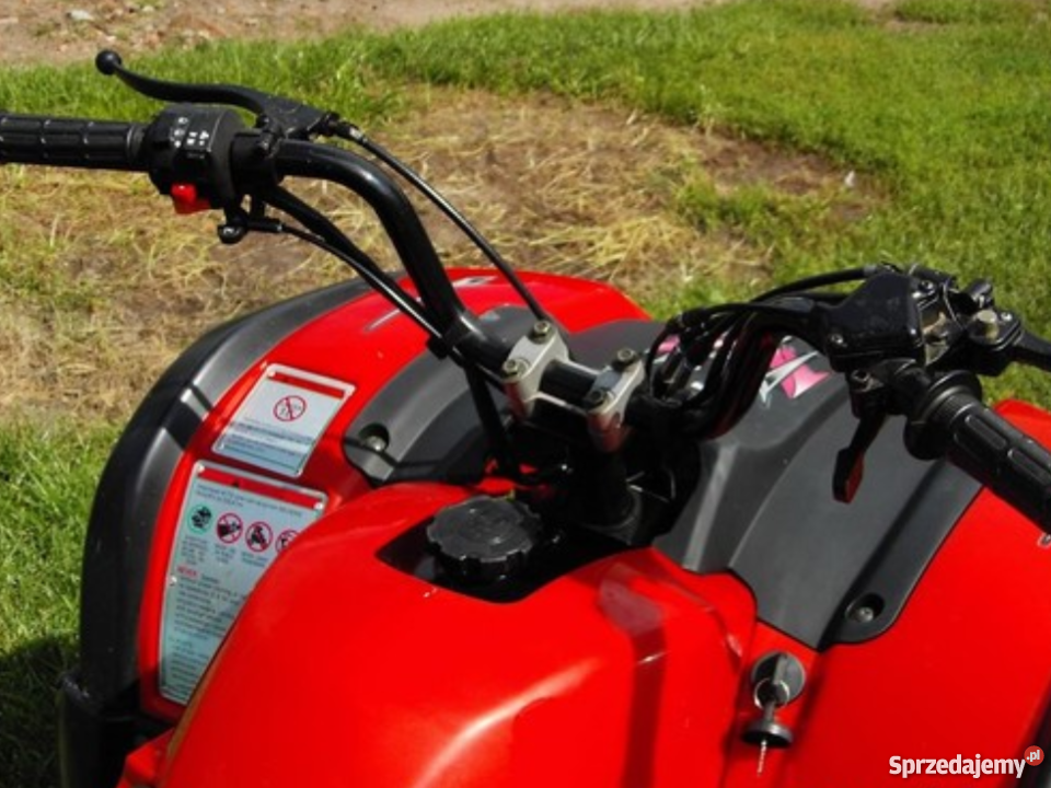 Quad kingway z przyczepką Konopiska sprzedam