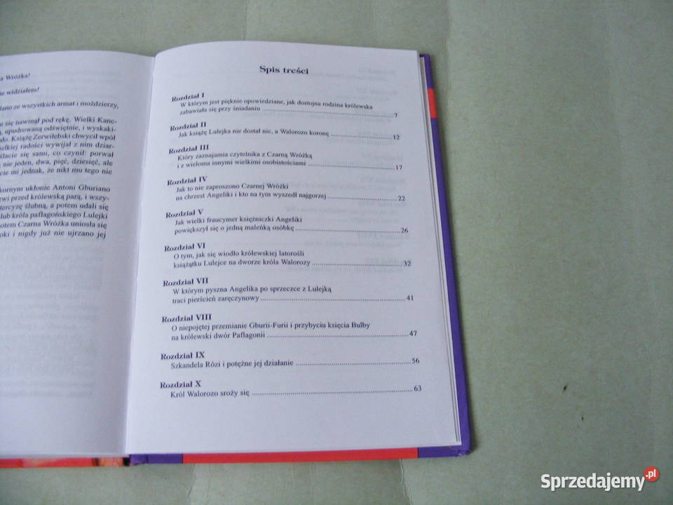 Pollyanna Porter Przypadki Robinsona Crusoe dolnośląskie Oborniki Śląskie