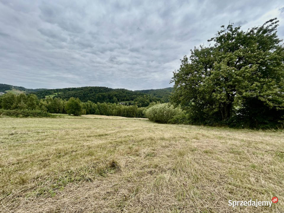 sprzedaży gruntu Laskowa 1300m2 111zł/m2 Grunty i działki