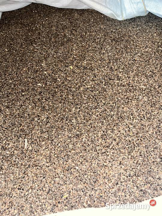 Gryka Tatarka nie pryskana sprzedam Zboża sprzedam