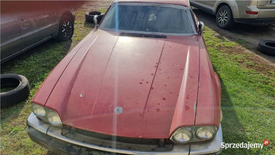 Jaguar XJS II sprzedaż syndyka manualna Poznań