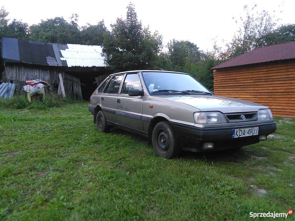 Polonez rover 18