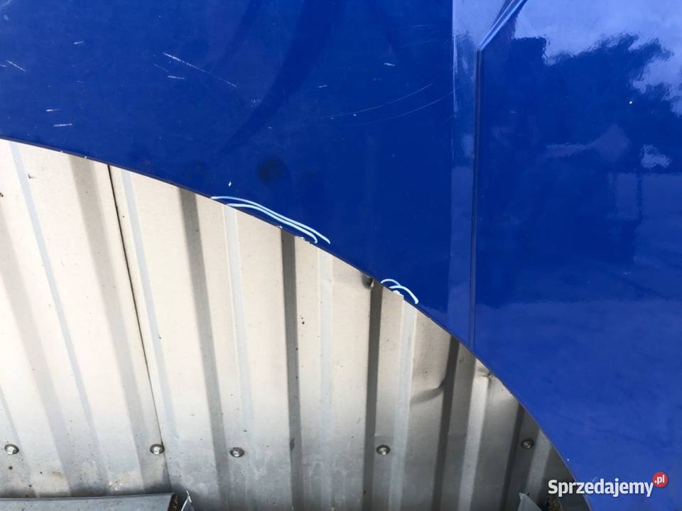 DRZWI LEWY PRZÓD DAF N Inny