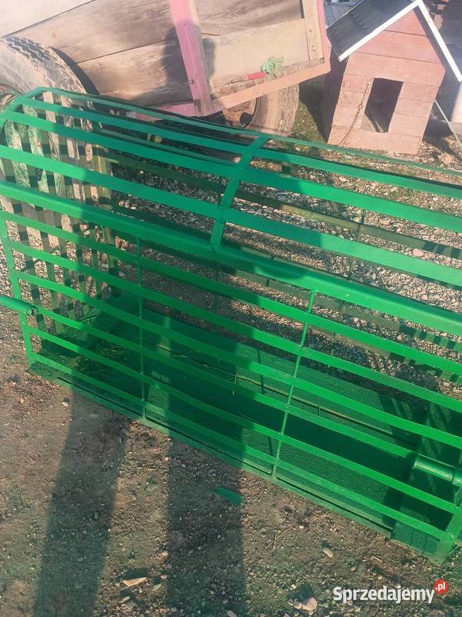 Waga i klatkę podkarpackie Ostrów