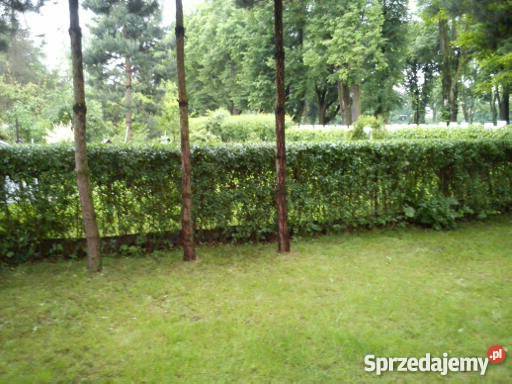 Sprzedam ogródek działkowy RODSielanka Bytom Bytom