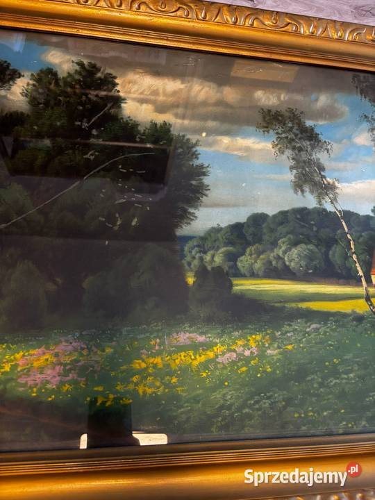 Obraz duży 120 złota rama lubuskie Siedlisko sprzedam