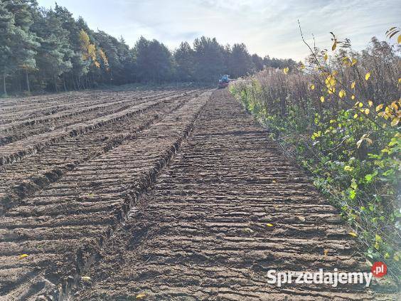 Wycinka drzew Czyszczenie działek Mulczowanie Usługi Łask