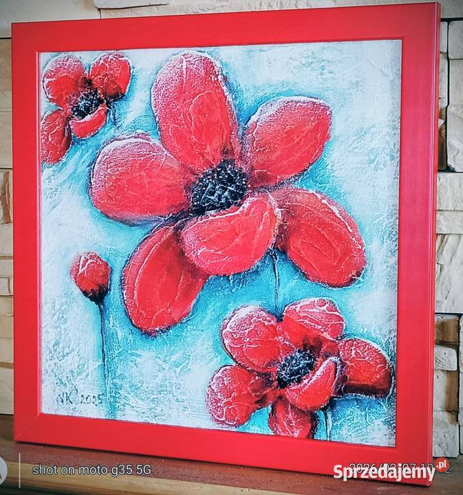 Czerwone maczki Bychawka Trzecia