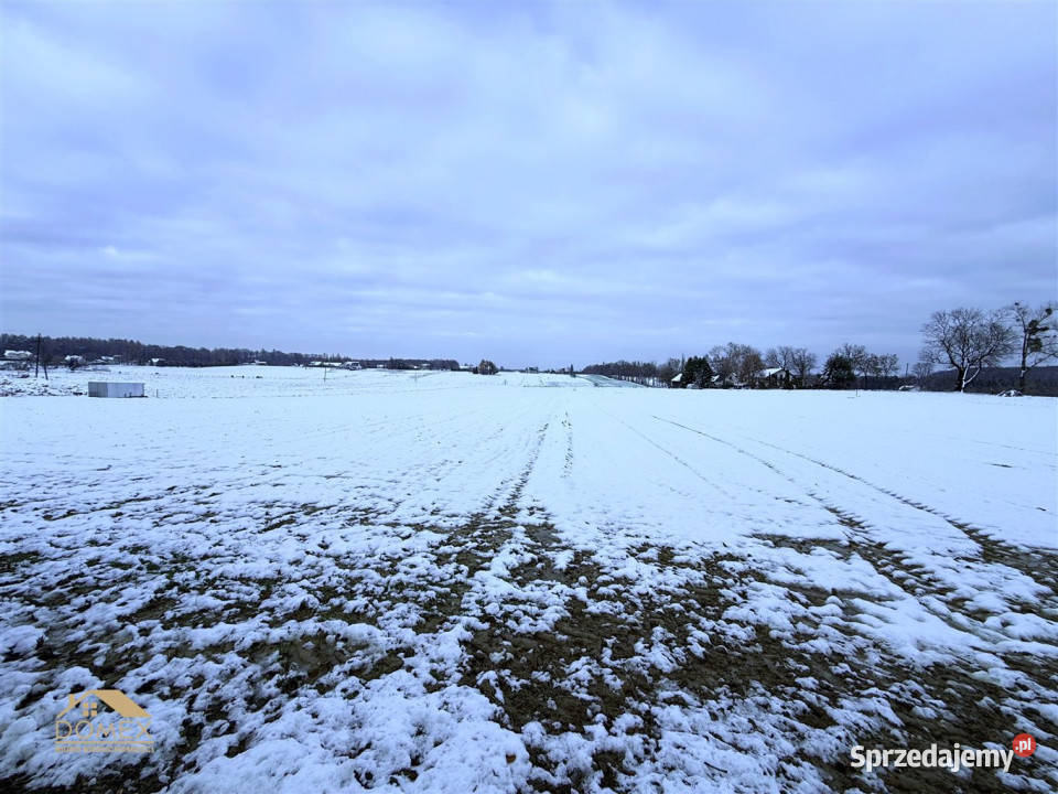 sprzedaży działki 1000 metrów Dębowiec Sprzedaż