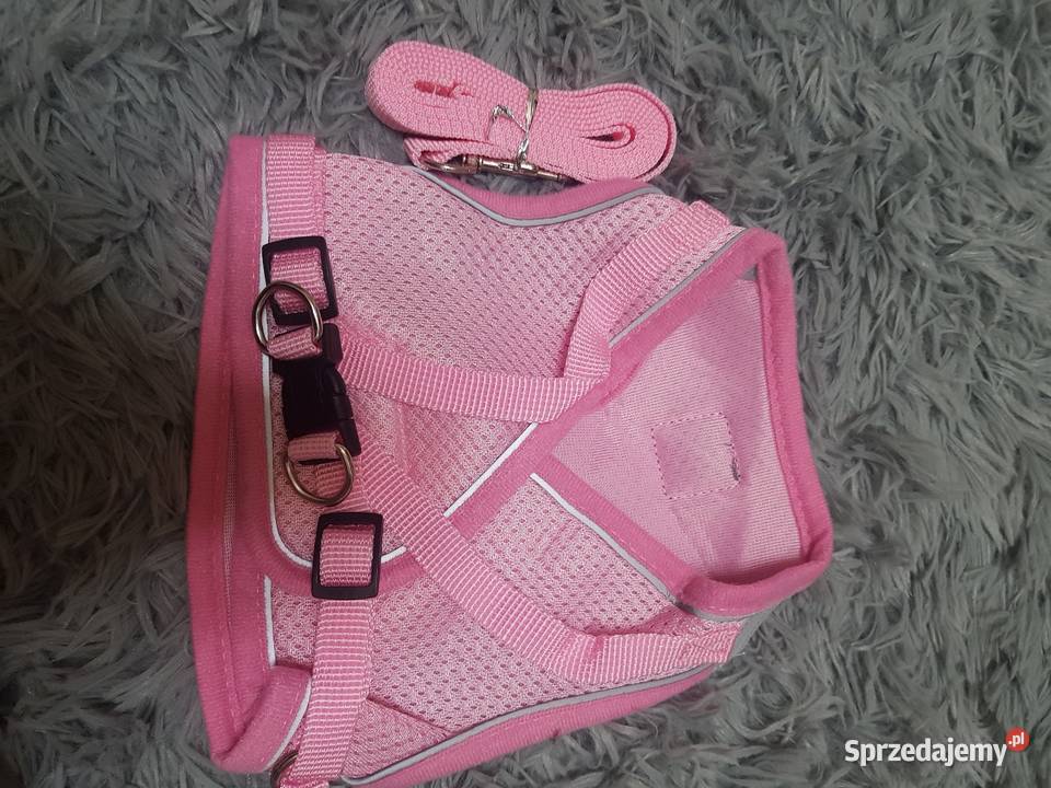 Szelki psa rozmiar l świętokrzyskie Kazimierza Wielka