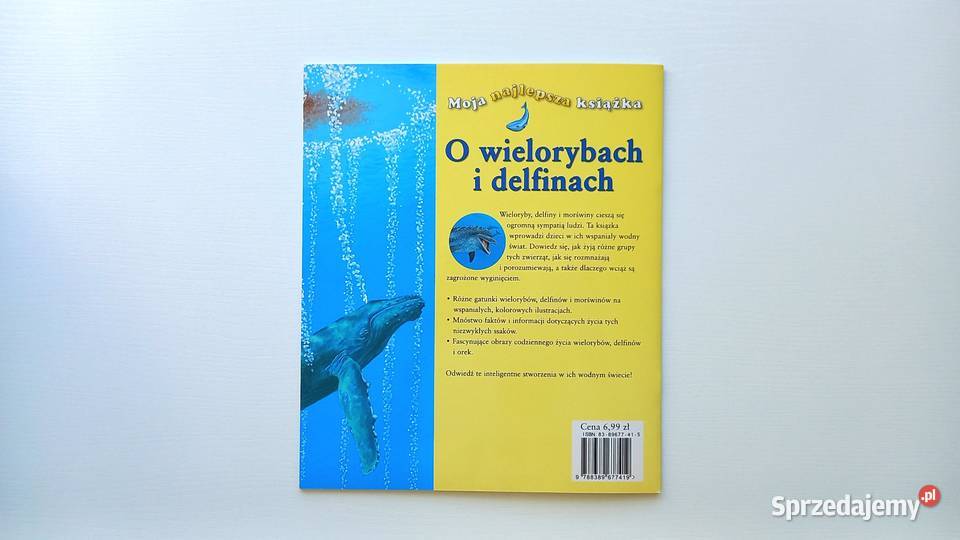 Edukacja Przyroda O wielorybach i delfinach Moja Kraków