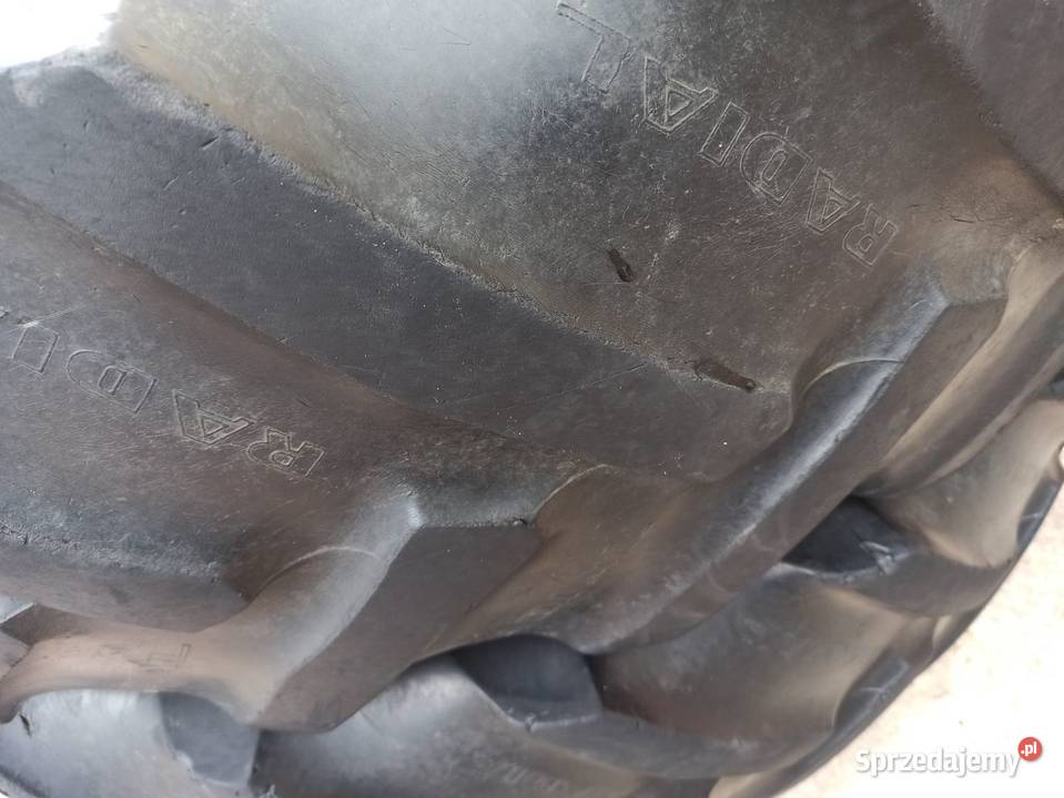 Opony rolnicze GoodYear 169 R38 Bogoria