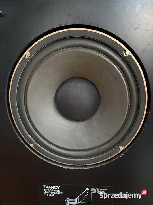 Kolumny Tannoy Cheviot śląskie