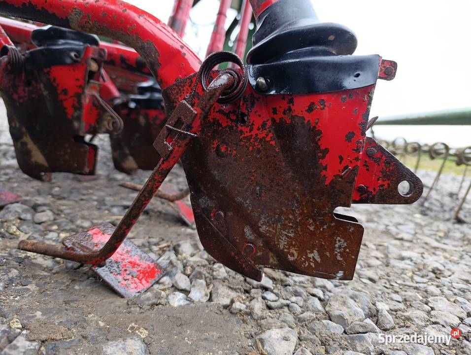 Siewnik zbożowy amazone hassia Amazone Borki