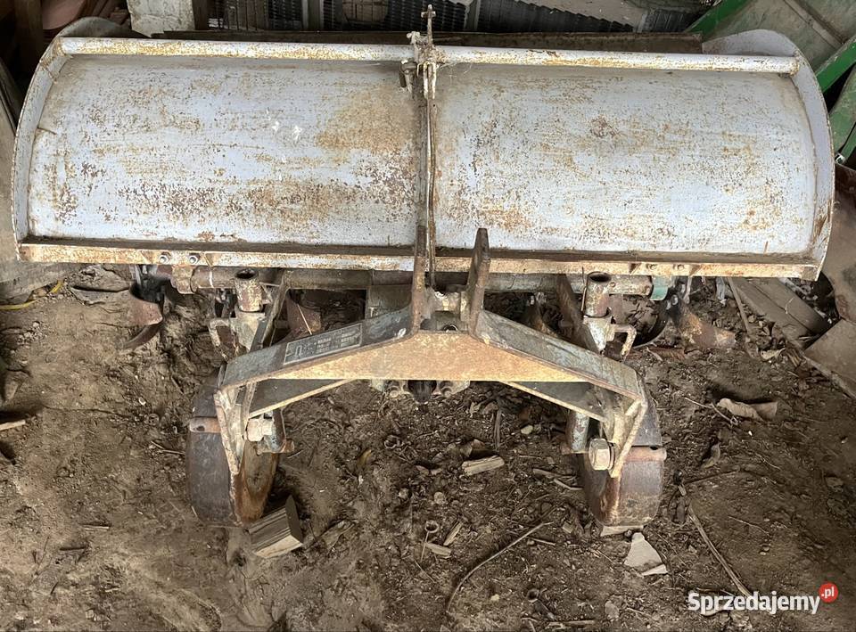 Glebogryzarka Złota