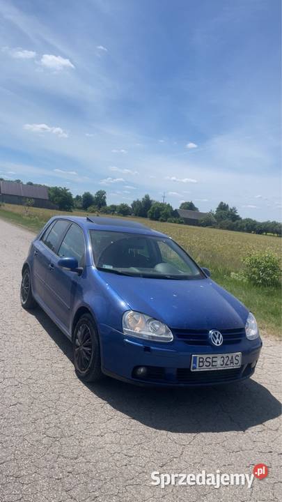 Golf 19 Tdi 2005r