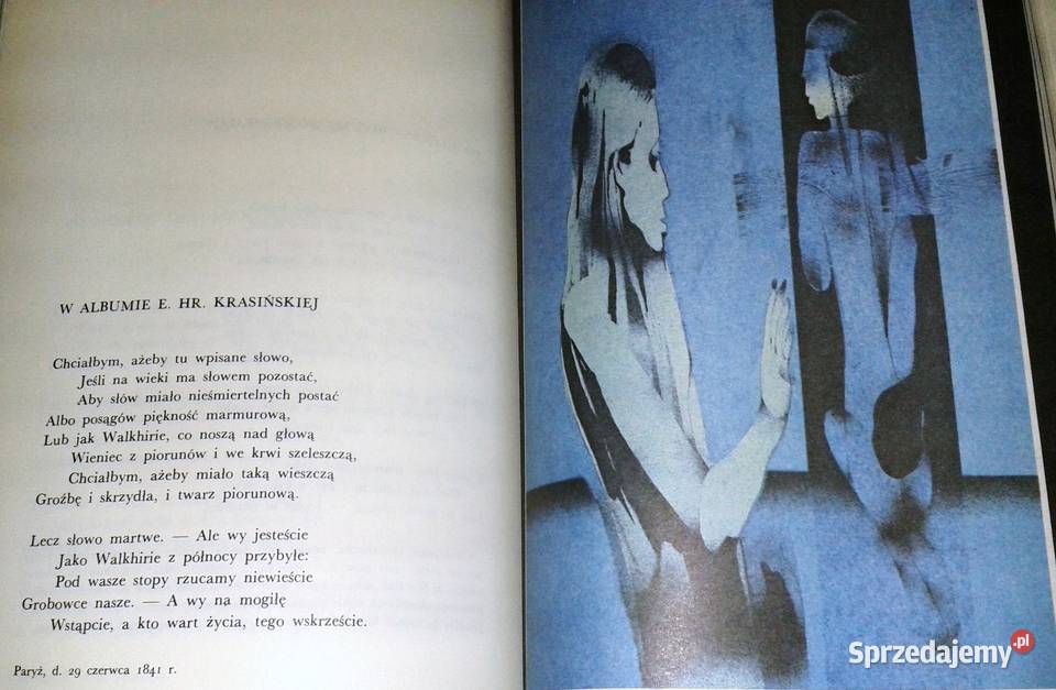 Kobieto boski diable Mickiewicz Słowacki Norwid Chełm