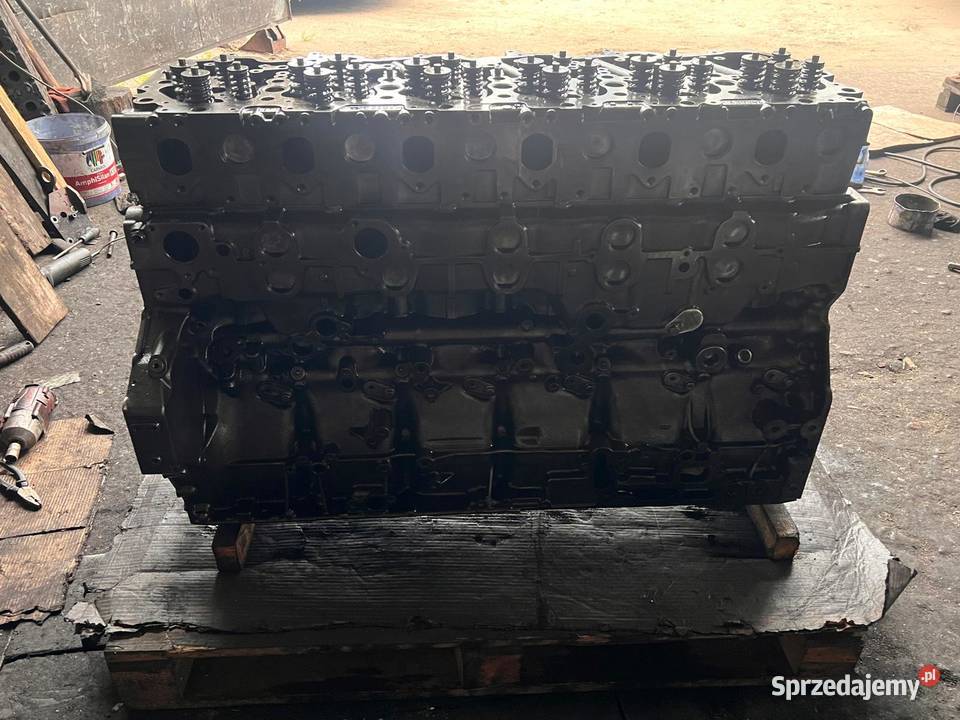 Silnik DAF XGXF 480 z 2022 r słupek głowica Myszyniec