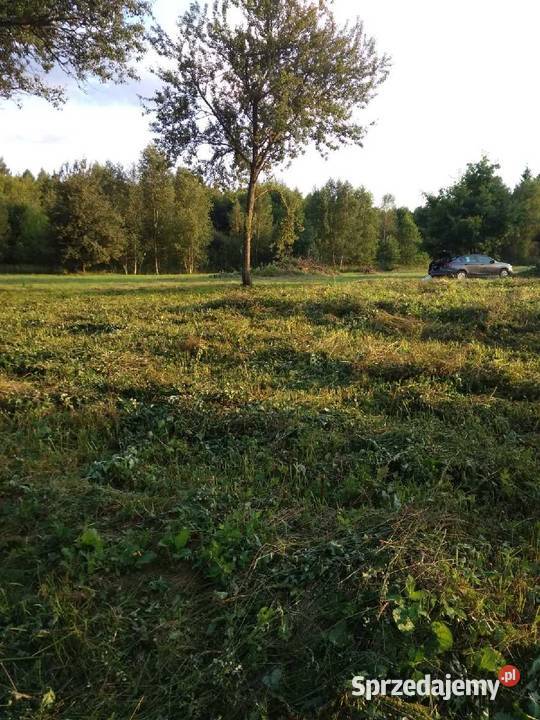 1 300 m2 warunki zabudowy Natura 2000 20 min Zajma