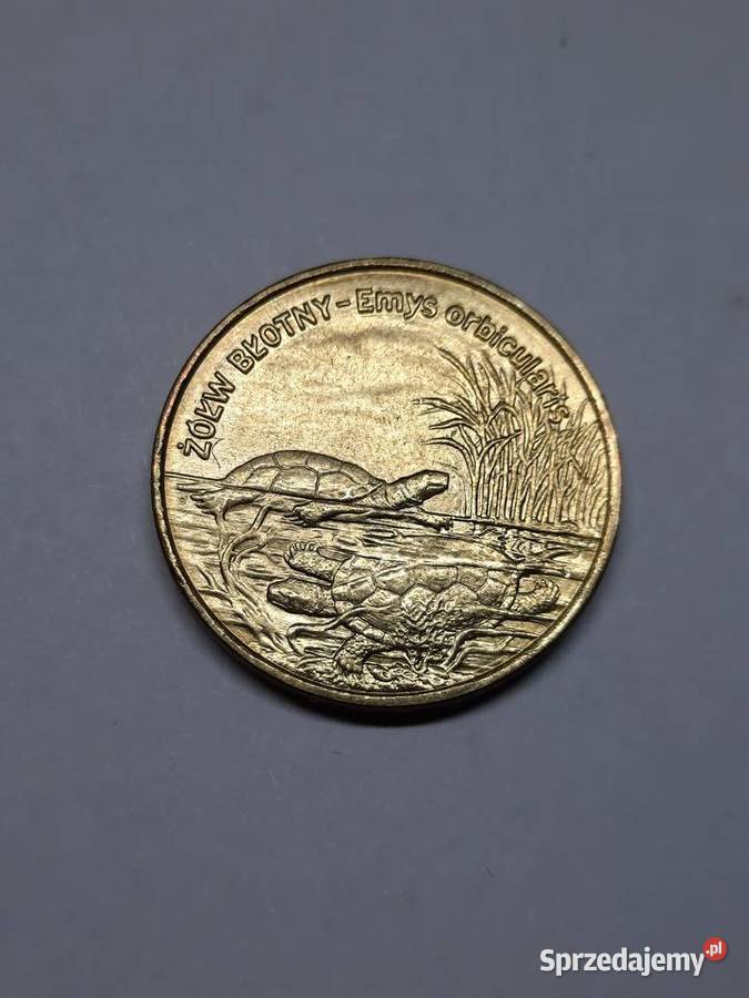 MONETA Polska 2 złote 2002 Żółw błotny 002 Warszawa