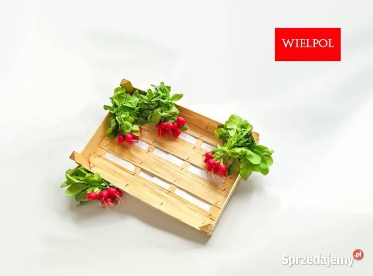 Opakowania do rzodkiewki Skrzynki do rzodkiewki wielkopolskie Wielichowo