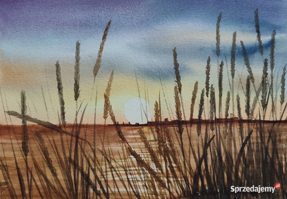 Akwarela Akwarelka Obraz pt Drugiej Stronie 15 x podlaskie Białystok