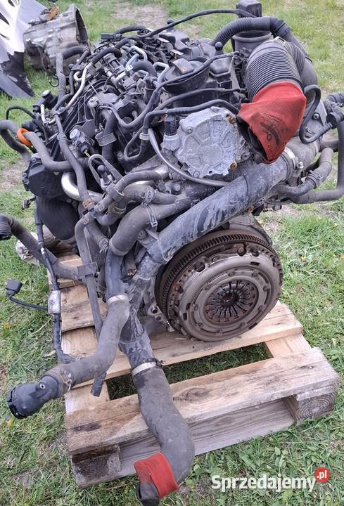 Silnik 20 TDI 140 CFF CFFB Passat b7 b8 A3 8P osobowe Hańsk Pierwszy