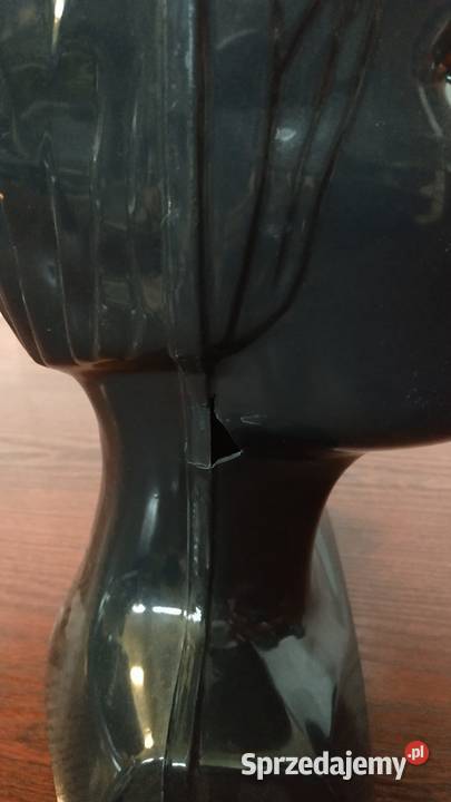 Ekspozytor głowa czarna stojąca lekkawydmuszka sprzedam