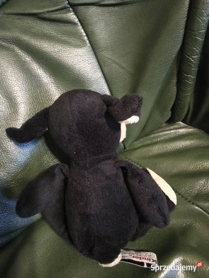 Pluszak Kinder czarna owieczka Tychy