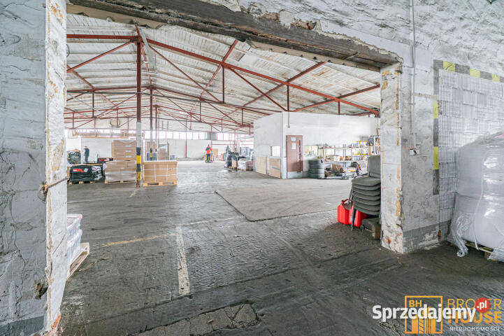 Lokal Opole 8128m2