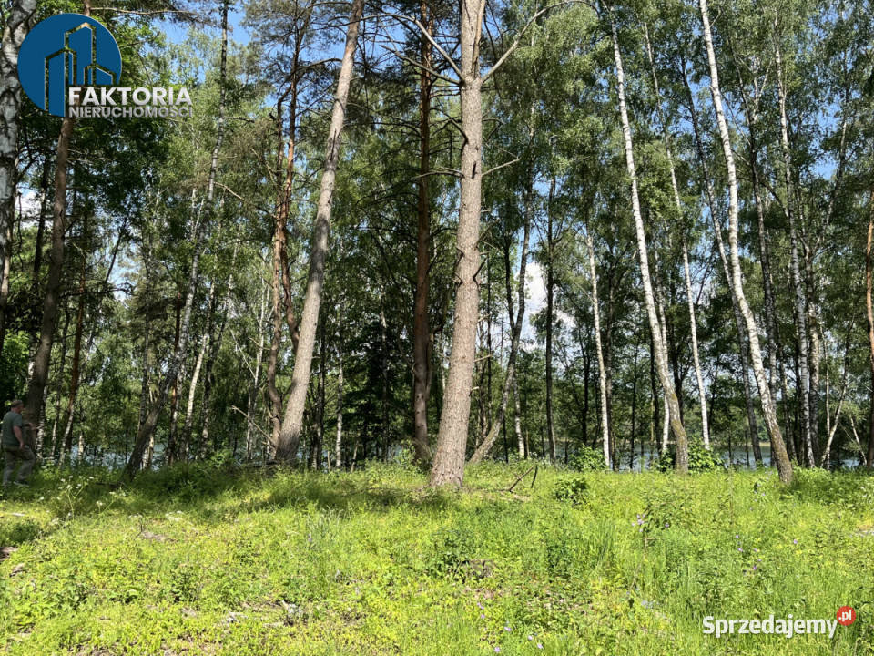 Działka 2805m2 Dąbrówno