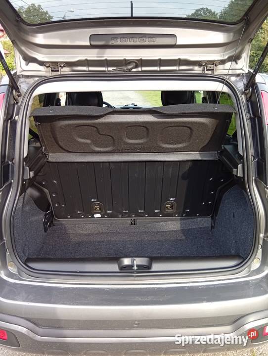 Fiat Panda Cross 2020 Zaborów