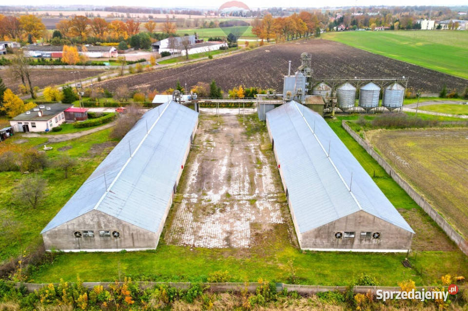 Baza magazynowa silosy waga Barciany Sprzedaż